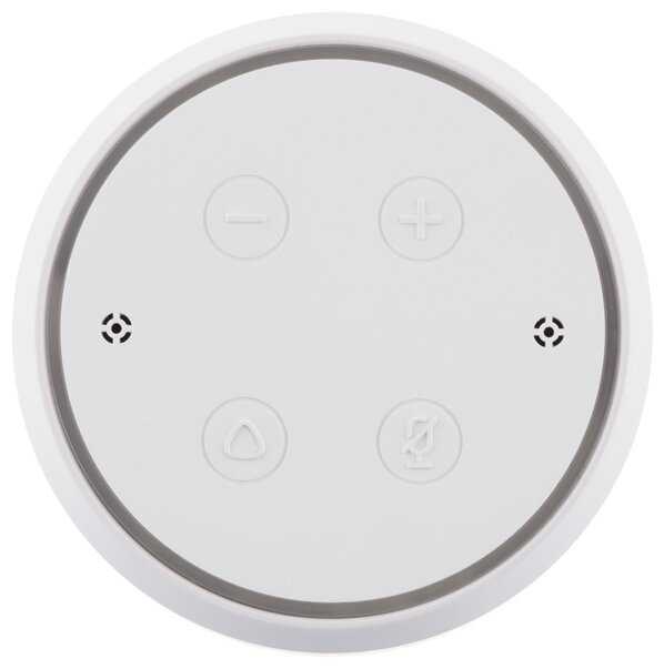 Умная колонка Irbis A фотография 9