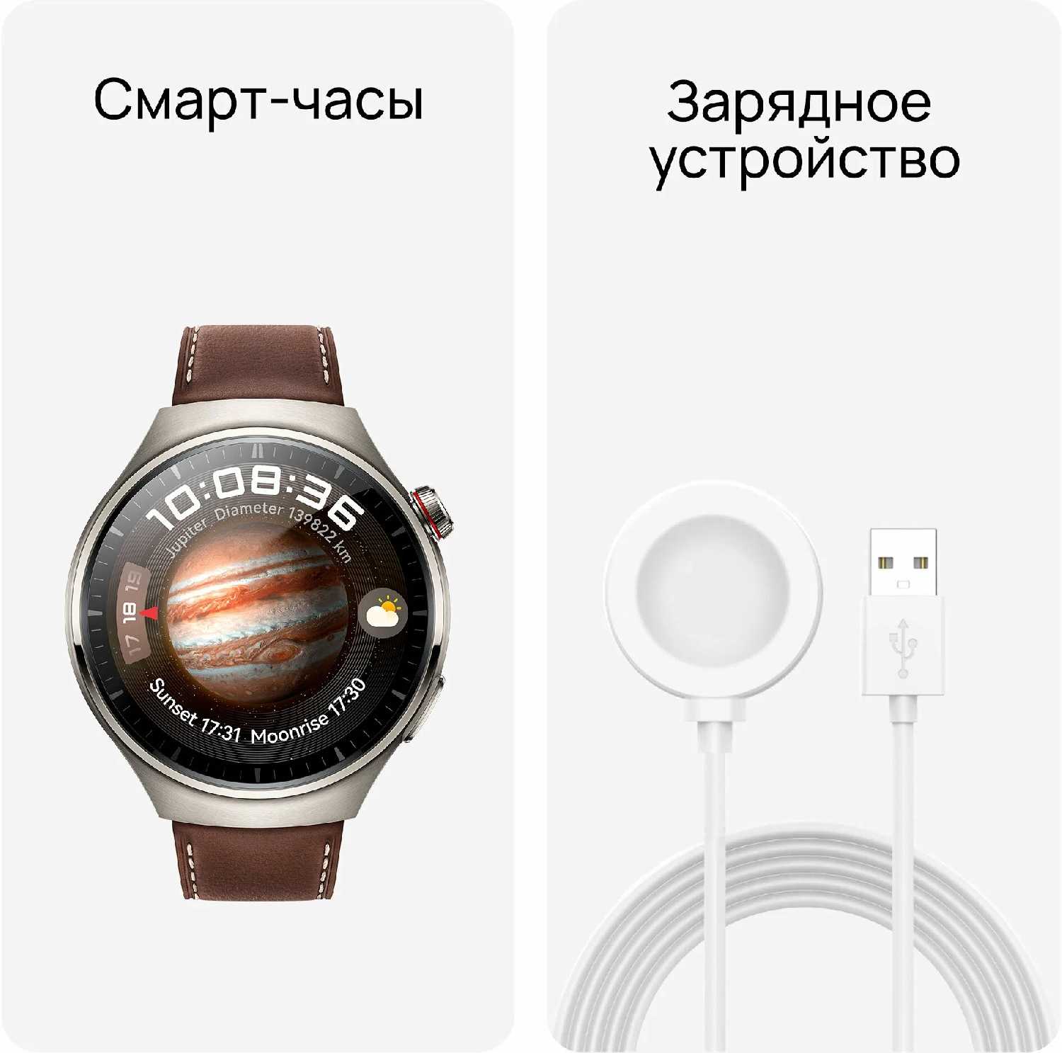 Смарт-часы HUAWEI Watch 4 Pro Titanium/Dark Brown Leather Strap фотография 8