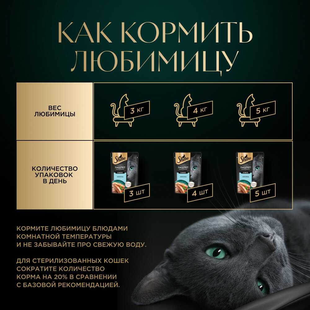 Корм для кошек Sheba Нежный паштет в желе с лососем фотография 12