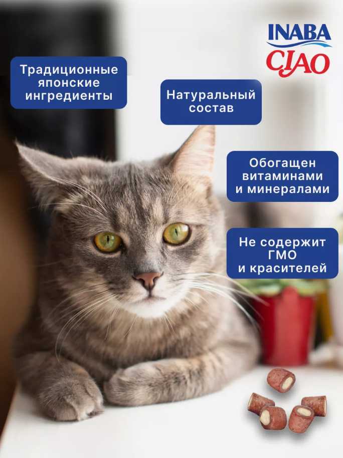 Лакомство для кошек Inaba Churu Bee с тунцом Магуро и запеченным куриным филе 2 уп х 30 гр фотография 5