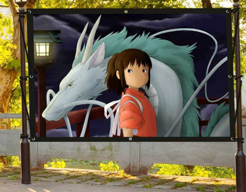 Складной экран для проектора Shakachu FWB100R (100