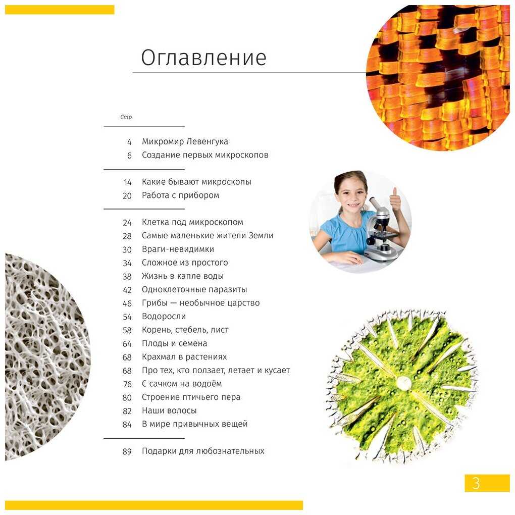 Микроскоп Discovery Centi 02 с книгой 900х / микроскоп детский со стеклами препаратами фотография 4