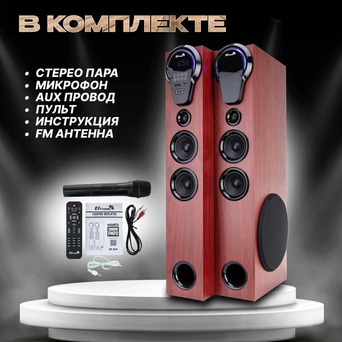 Колонка Home Sound (FM-радио, дисплей, караоке) фотография 14