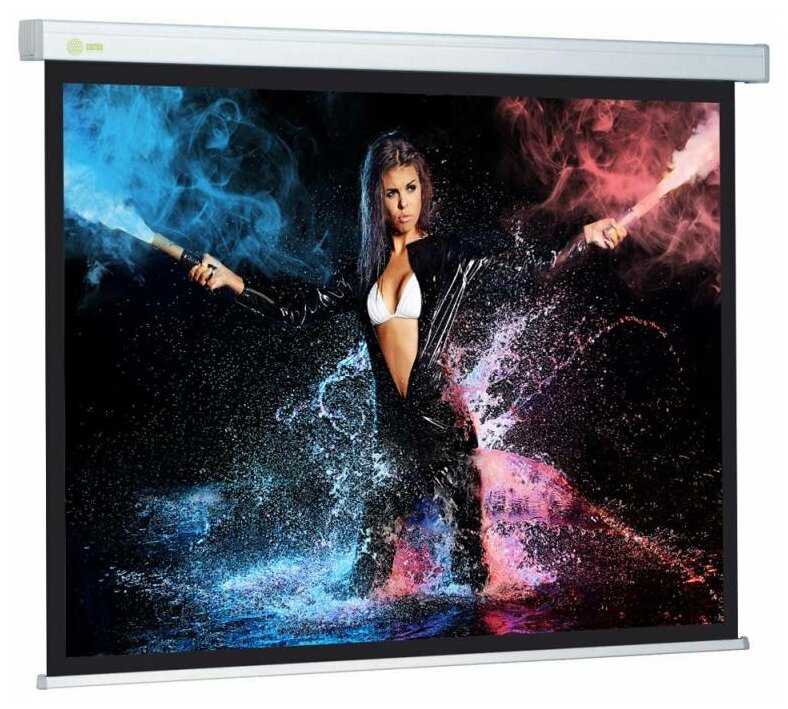 Рулонный cactus Wallscreen (CS-PSW-213X213-SG) фотография 6