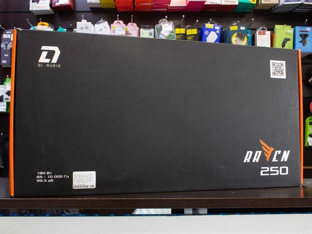 Акустическая система DL Audio Raven 250 (10