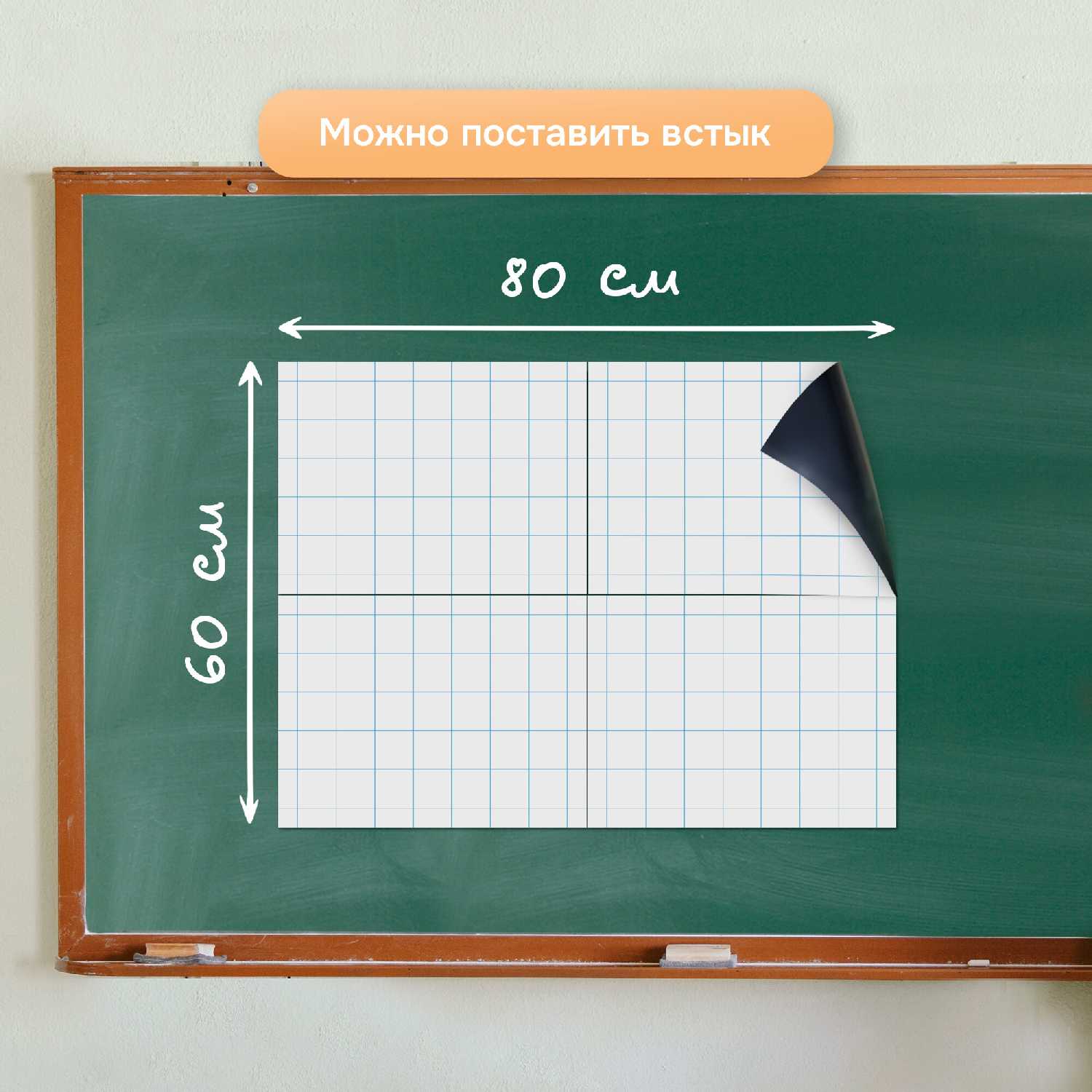 Разлиновка магнитная для школьной доски фотография 10