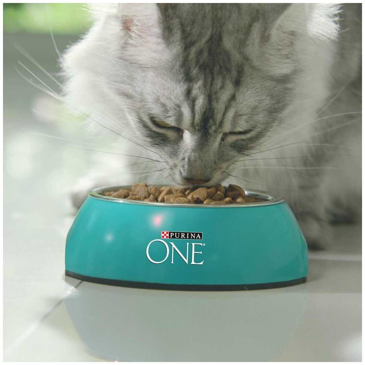 Корм для кошек Purina ONE с чувствительным пищеварением и разборчивым вкусом в еде фотография 3