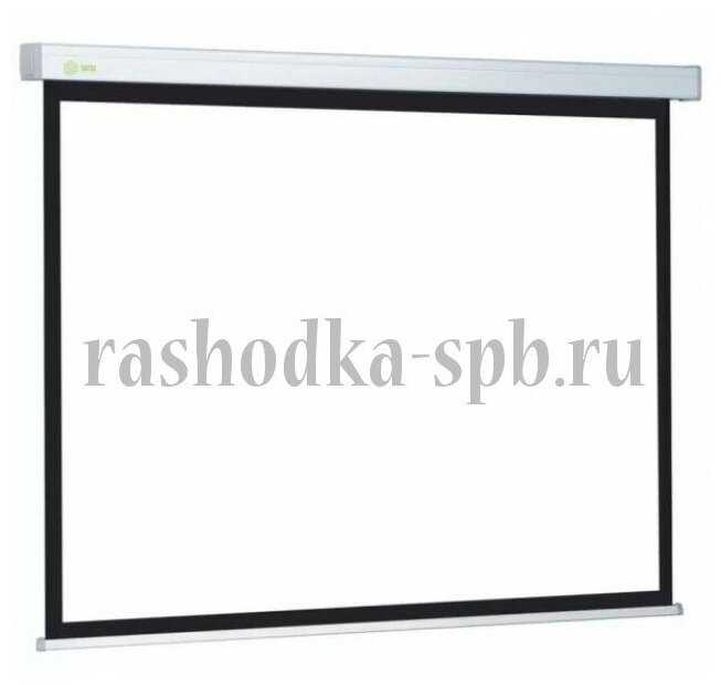 Рулонный cactus Triscreen (CS-PST-124x221) фотография 6
