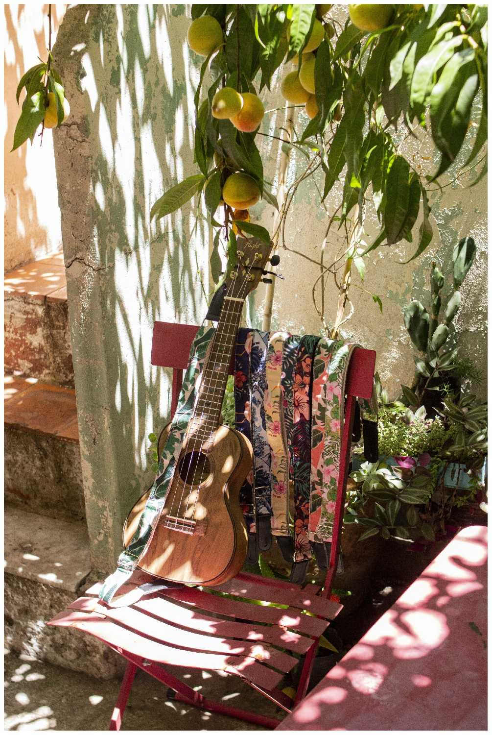 FLIGHT DUC430 DAO Укулеле концерт фотография 4