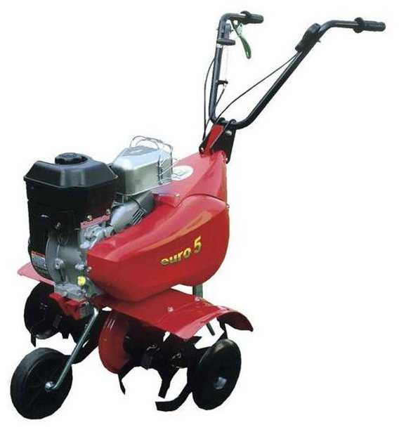 Культиватор бензиновый Eurosystems Euro 5 EVO RM S/R Honda GC160, 5 л.с.
