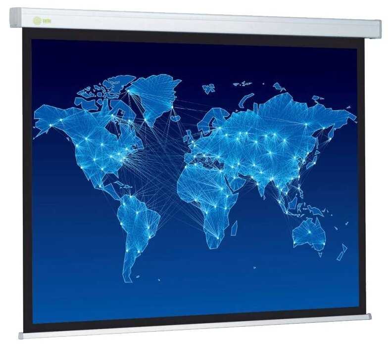 Рулонный cactus Wallscreen (CS-PSW-152x203)