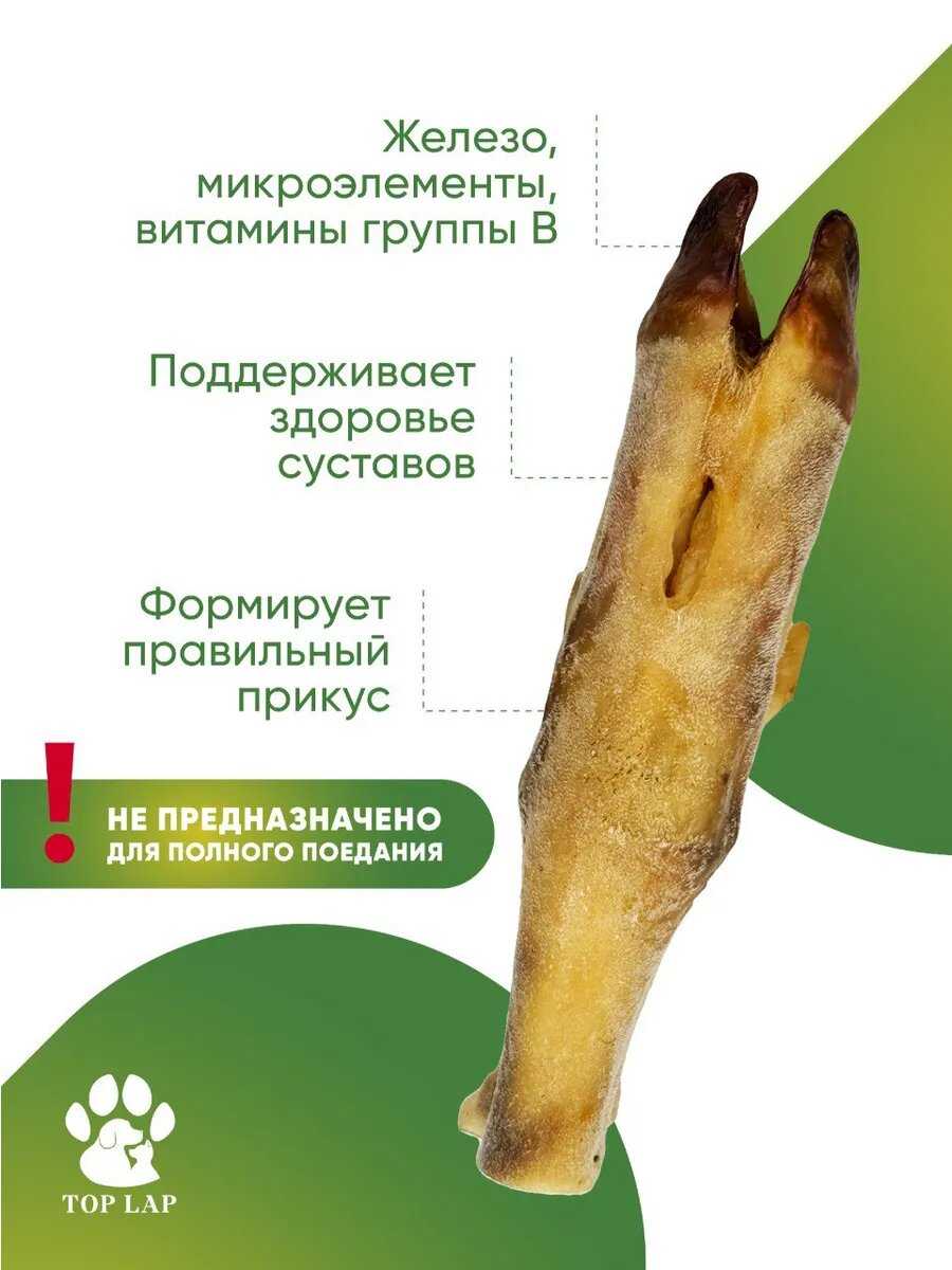 Кости для собак Баранья ножка фотография 22