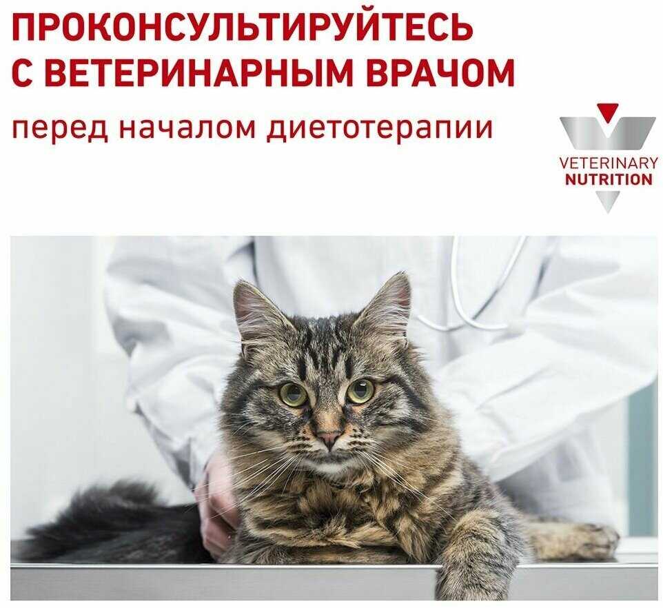 Влажный диетический корм Royal Canin Renal With Fish фотография 3