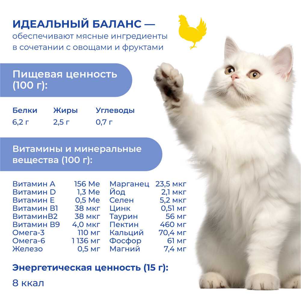 Jarvi крем-суп с филе курицы для кошек и котят (15 г) фотография 4