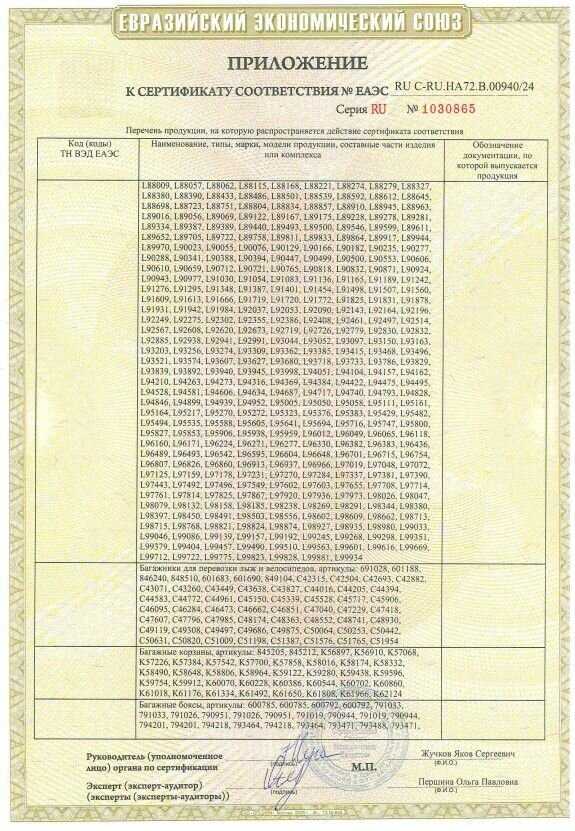 Багажник на крышу Митсубиси Лансер 10 (D-LUX 1) фотография 13