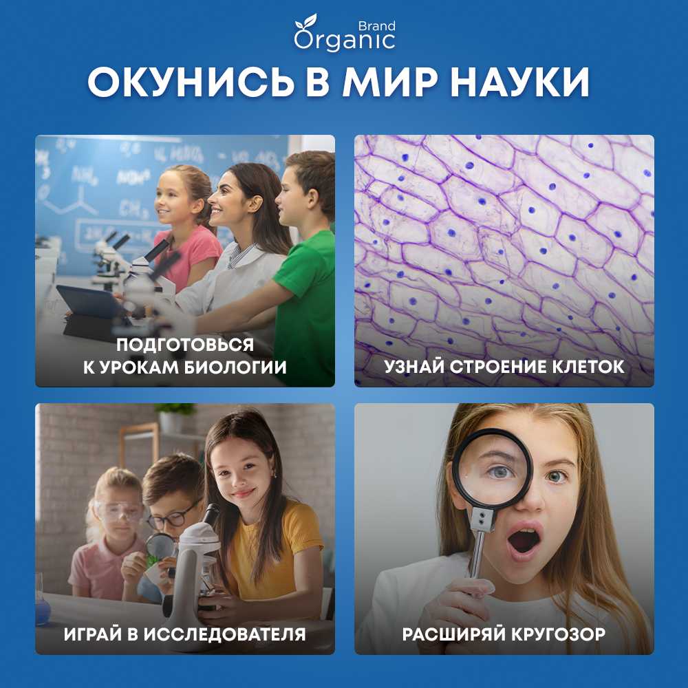 Микроскоп детский школьный с подсветкой фотография 2