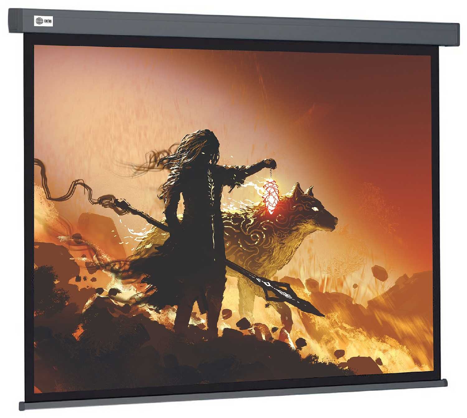 Рулонный cactus Wallscreen (CS-PSW-213X213-SG)