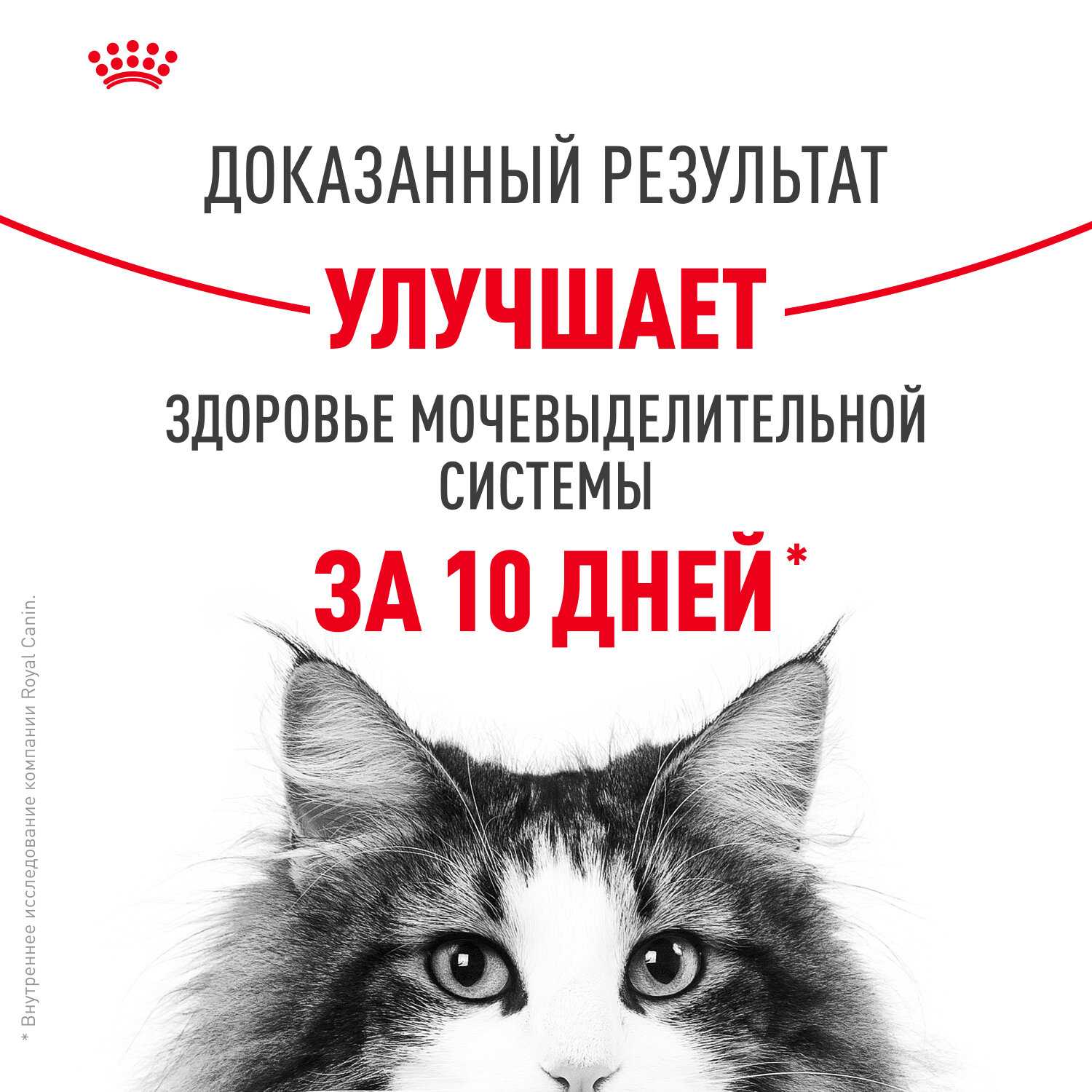 Влажный корм Royal Canin Urinary Care [для взрослых кошек при мочекаменной болезни] фотография 4