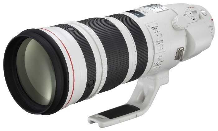 Объектив Canon EF 200-400mm f/4L IS USM Extender 1.4X