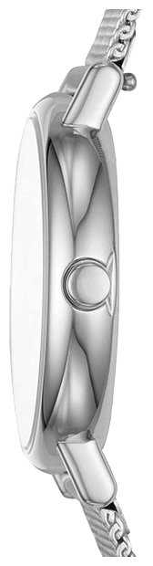 Наручные часы SKAGEN SKW2692 фотография 2