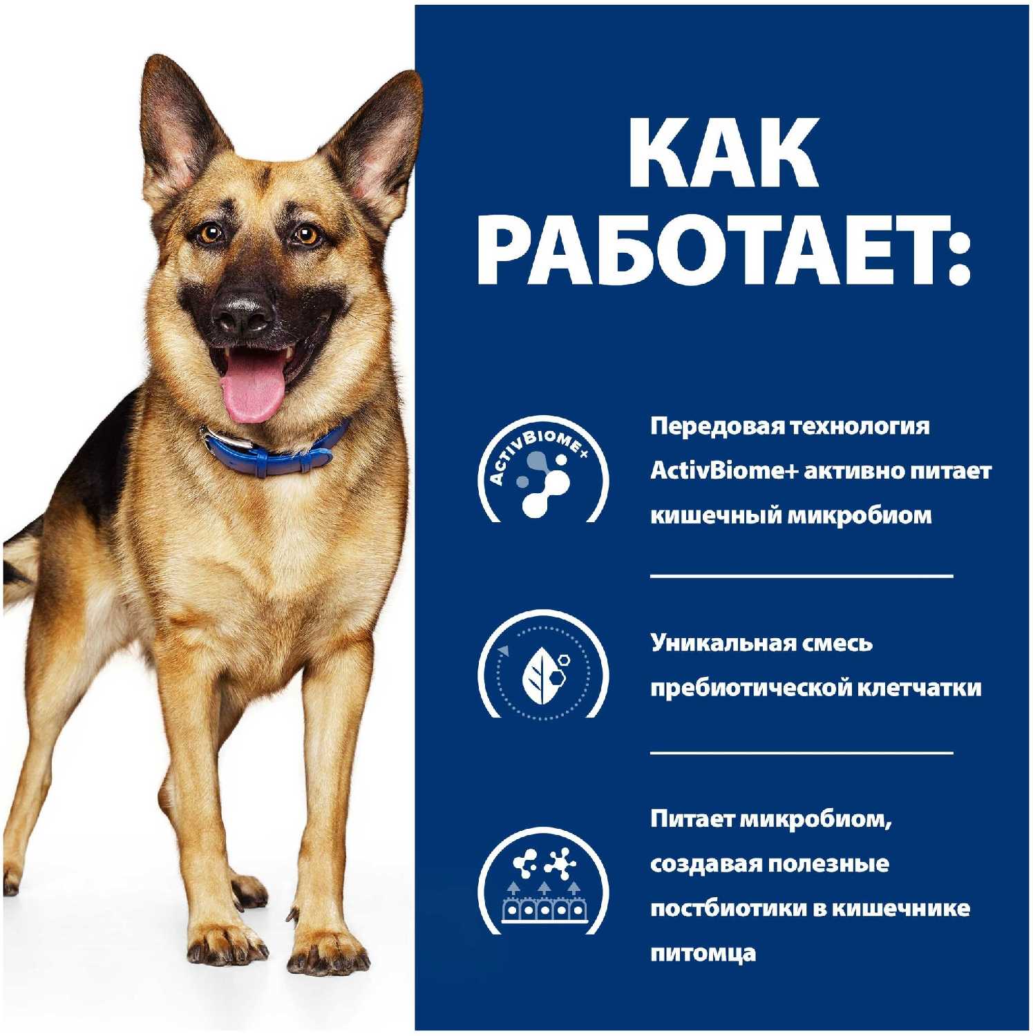 Корм для собак Hill's Prescription Diet Gastrointestinal Biome Digestive/Fiber Care фотография 3