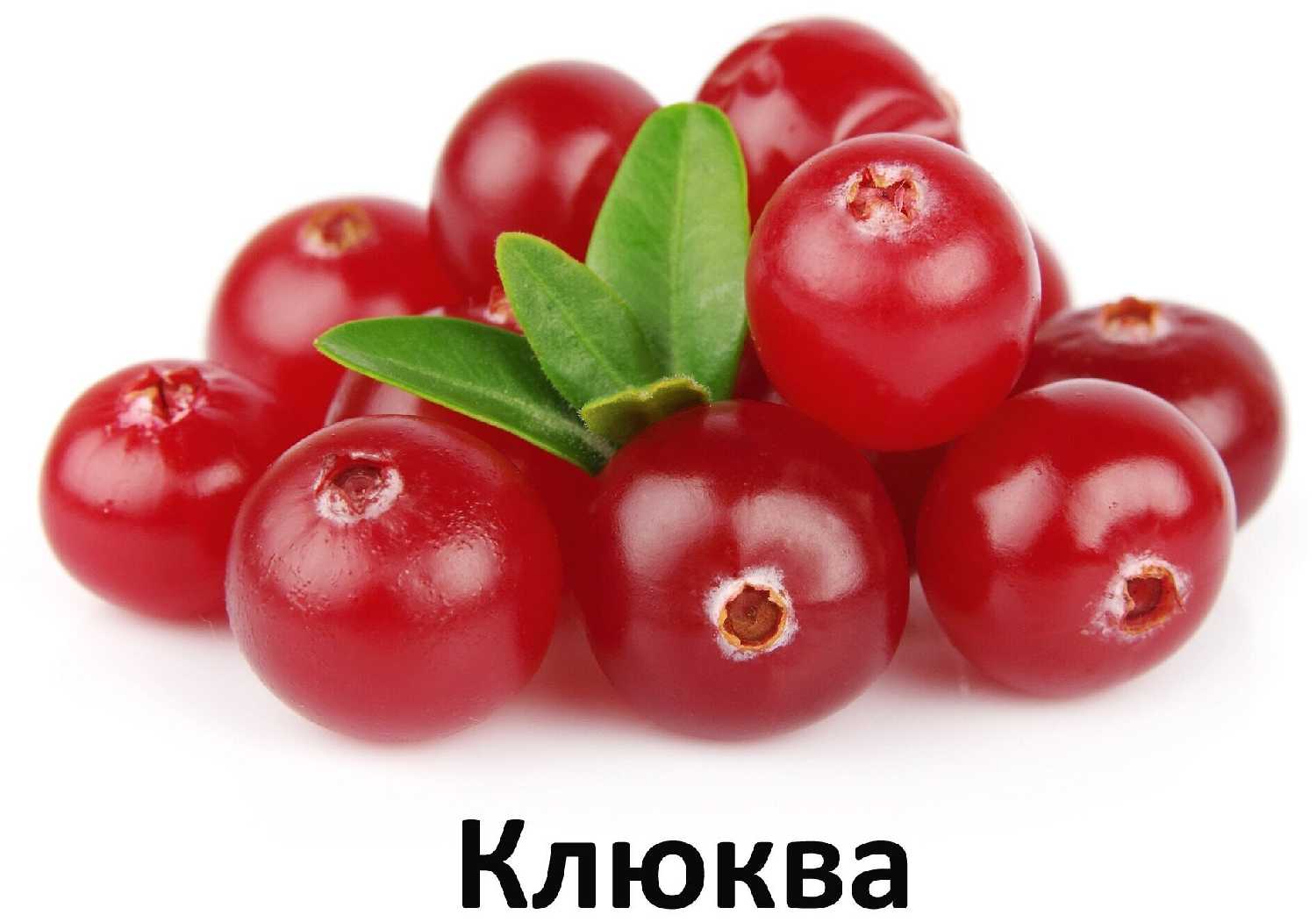 Корм для кошек Alleva Equilibrium Sensitive с кроликом фотография 9