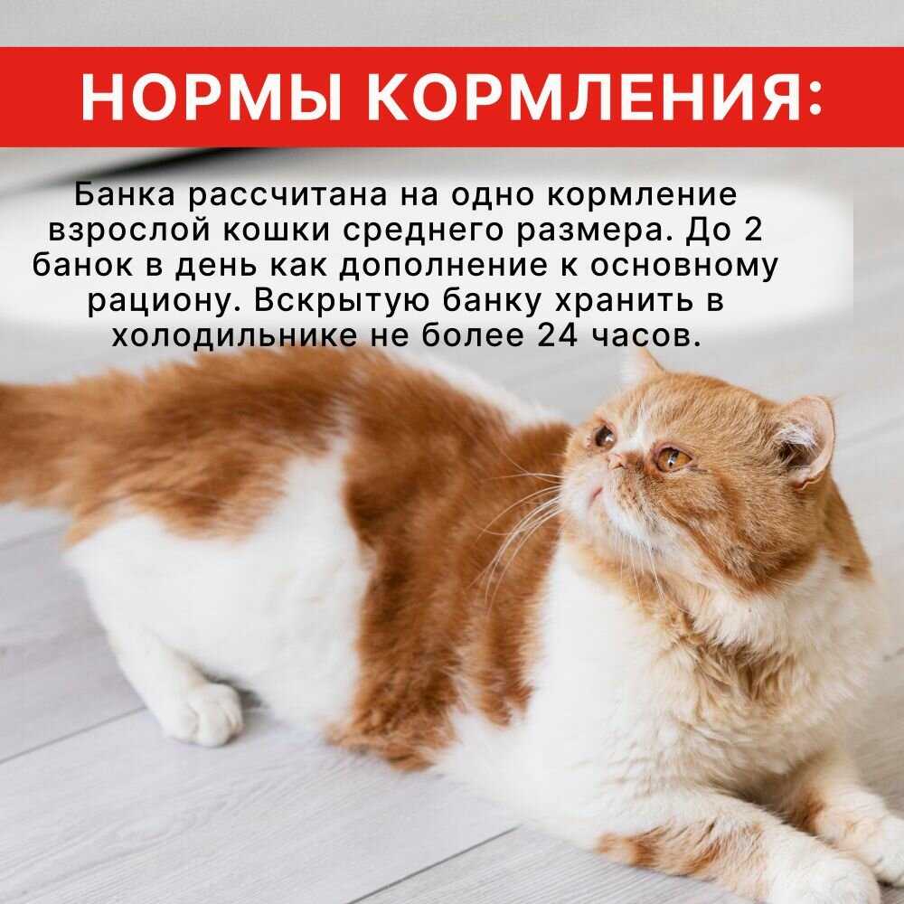 Корм для кошек Inaba Тунец магуро и тунец кацуо с куриным филе в желе фотография 13
