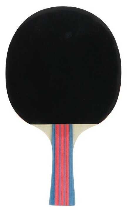 Ракетки для настольного тенниса BOSHIKA Control 9 (7343336) фотография 3