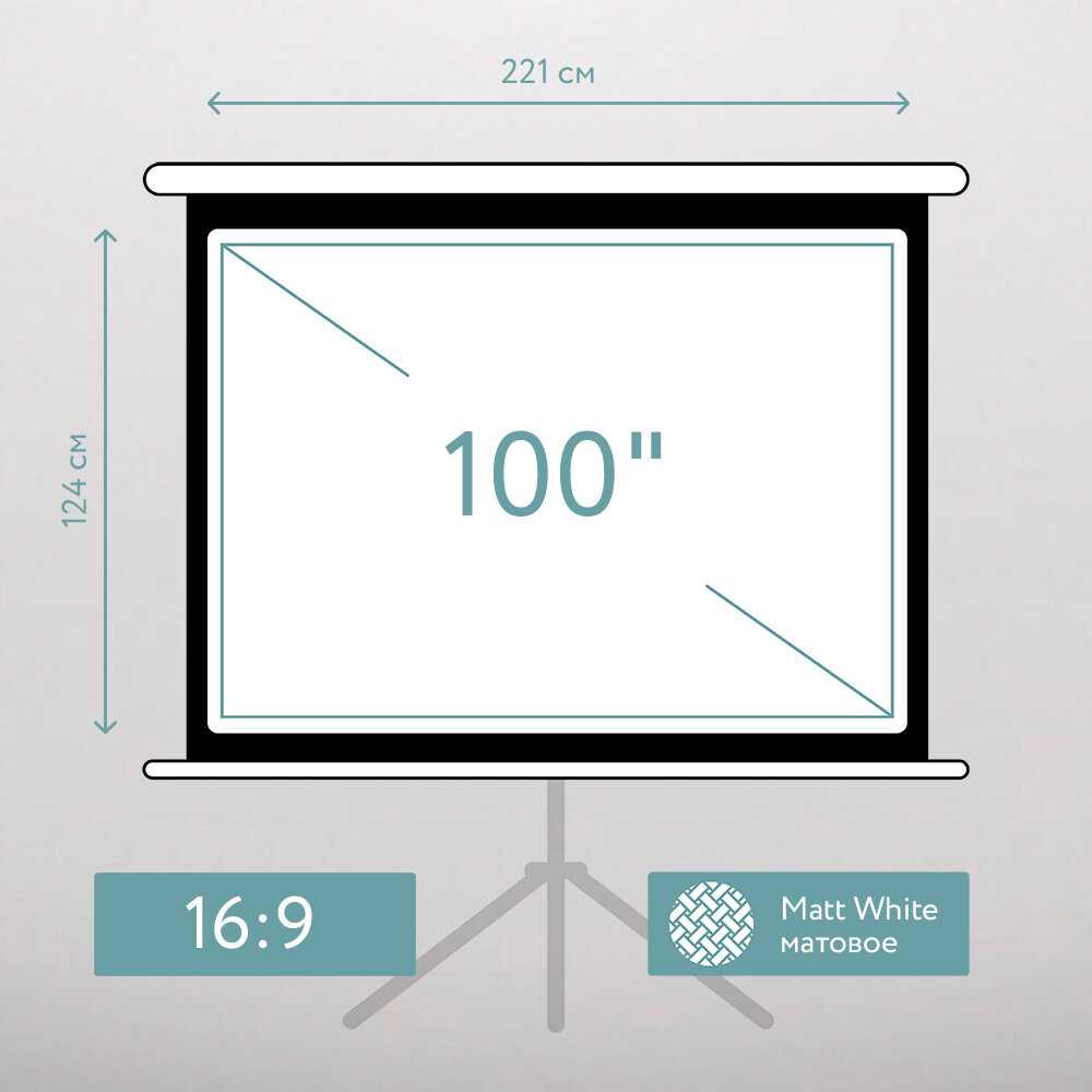 Экран для проектора S'OK SCPST-221x124 фотография 1