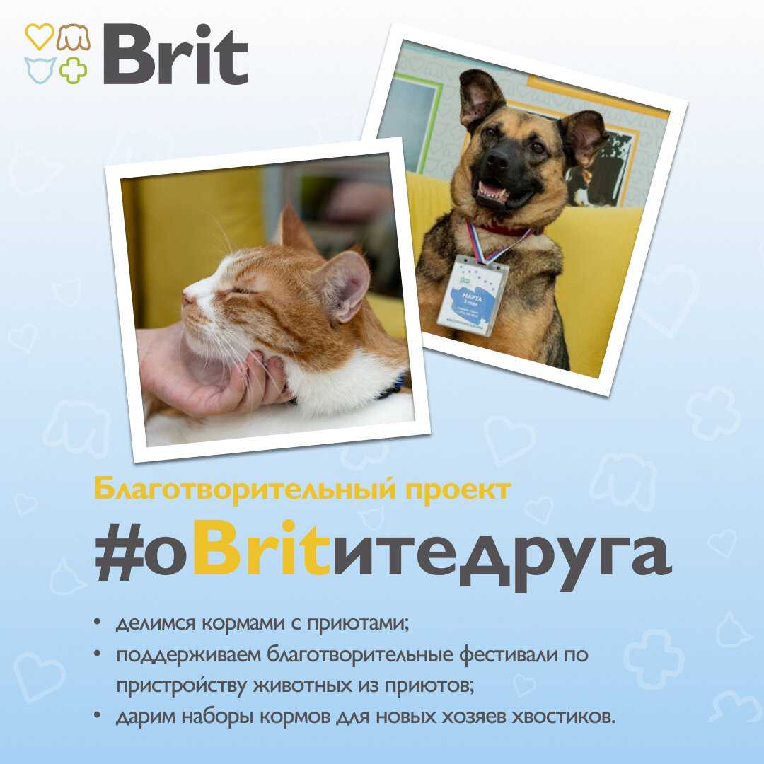 Корм Brit Воздушный для стерилизованных кошек с кроликом фотография 12