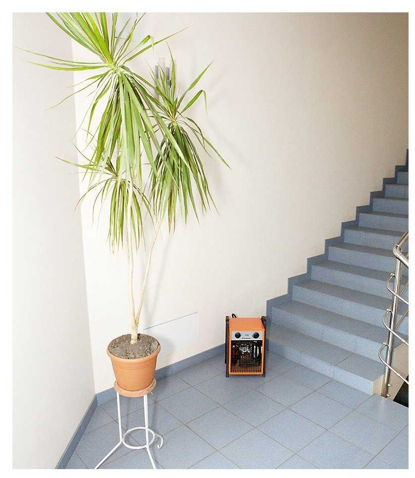 Электрическая тепловая пушка Тепломаш КЭВ-6С41Е фотография 1