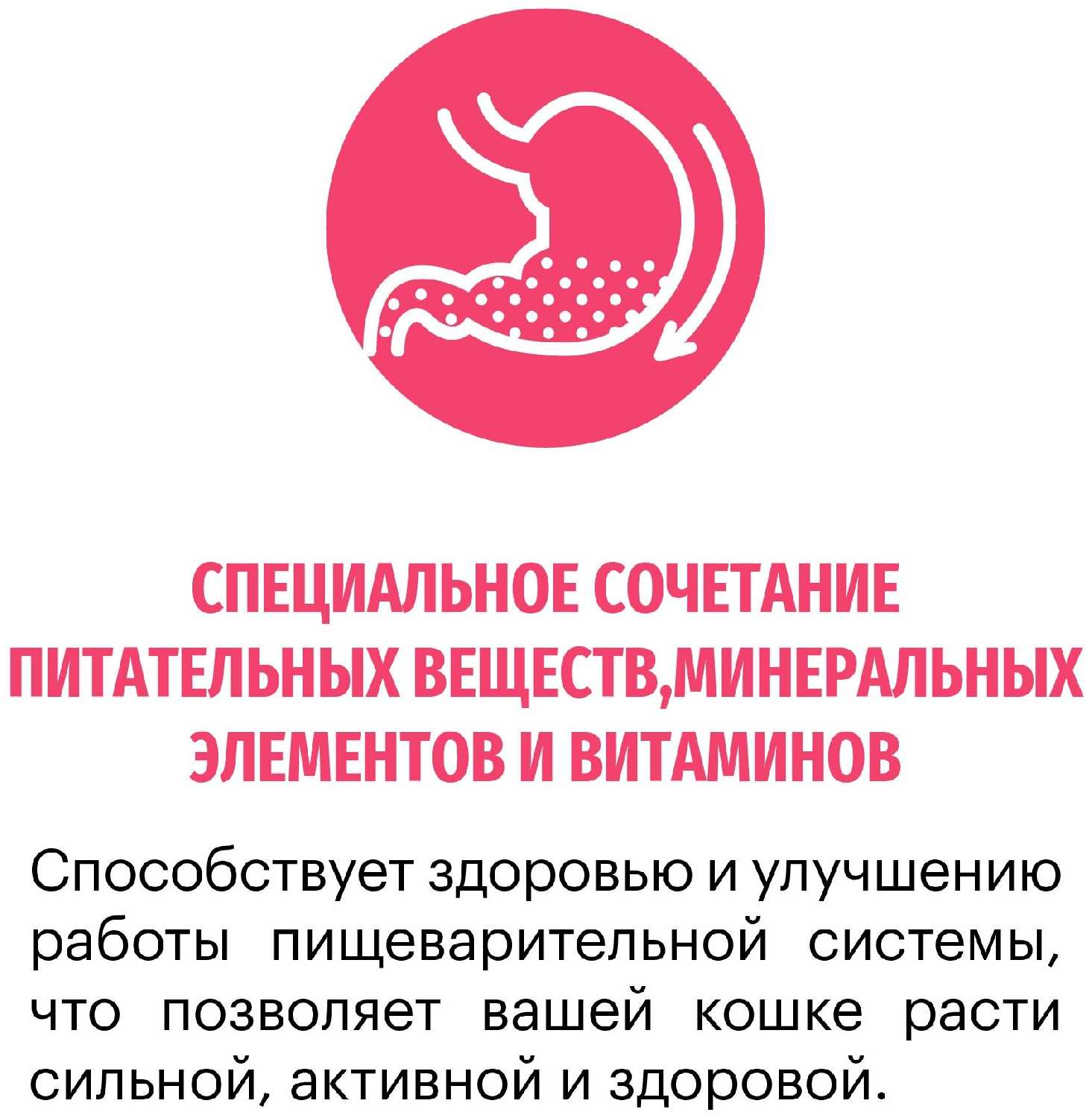 Корм для кошек Karmy Sensitive (индейка) фотография 4