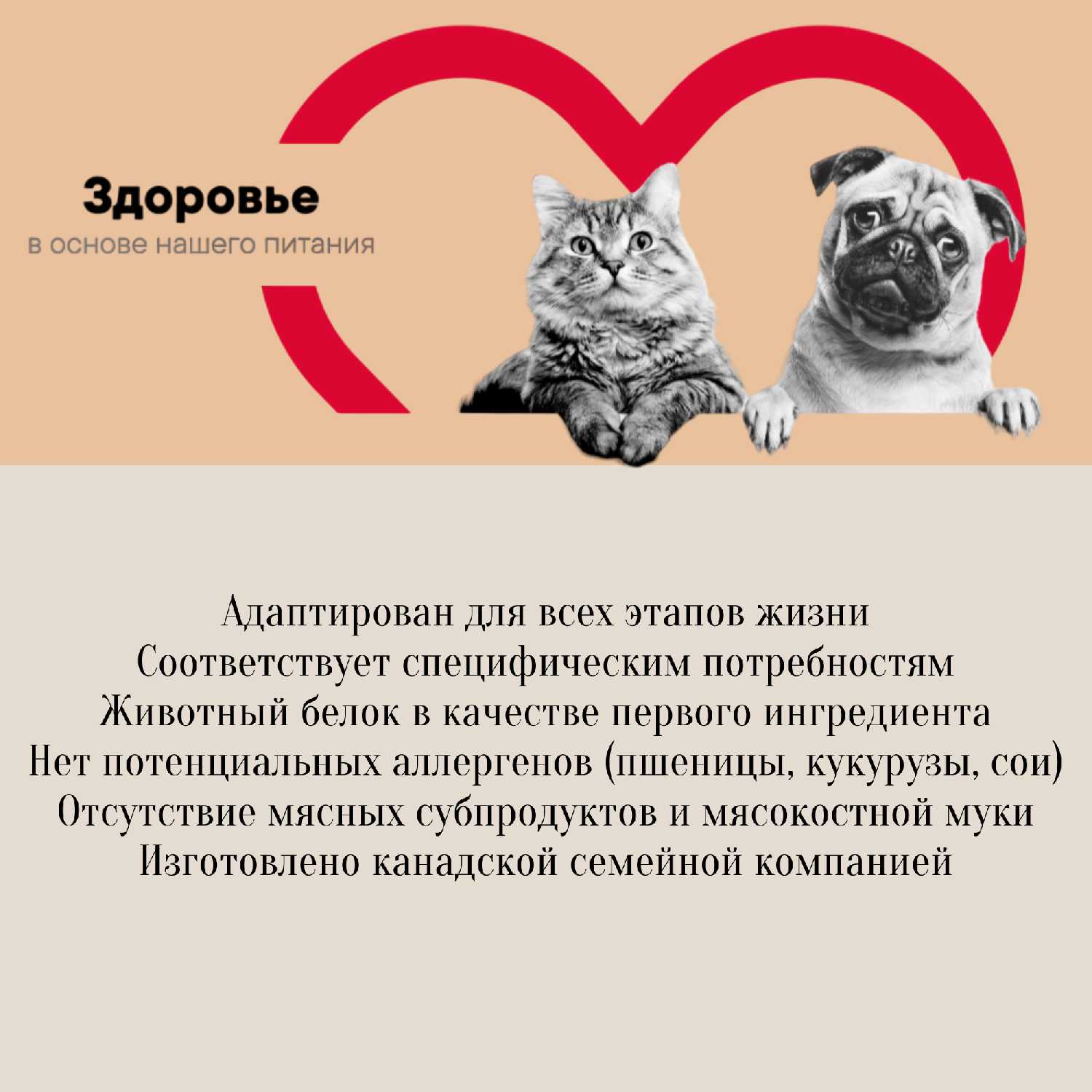 Корм для собак 1st Choice для здоровья кожи и шерсти фотография 4