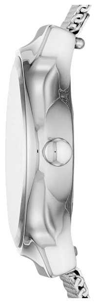 Наручные часы SKAGEN SKW2715 фотография 2
