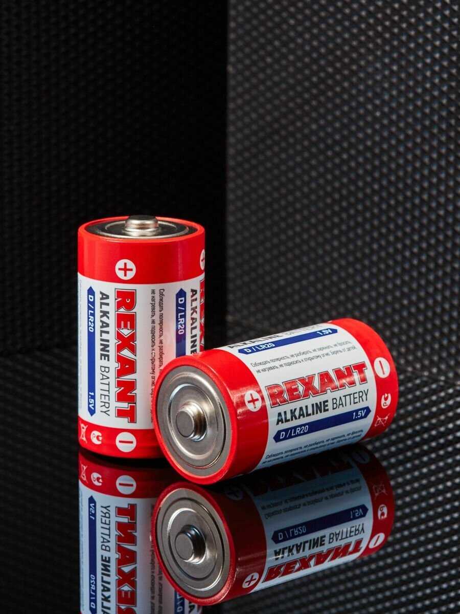 Батарейка Rexant D/LR20 (2 шт) фотография 1