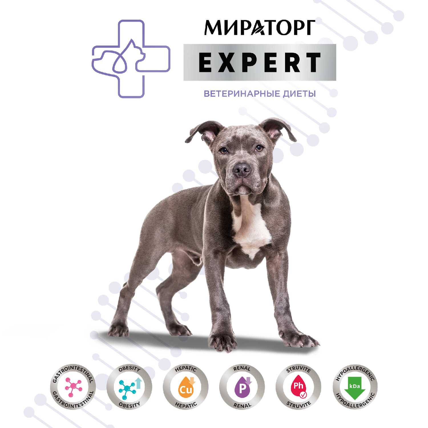 Корм для собак Мираторг Expert Renal фотография 6