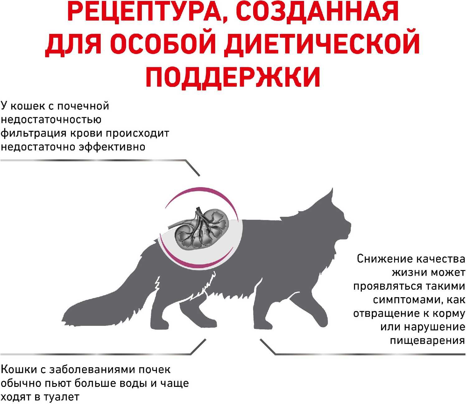 Сухой корм Royal Canin Renal Feline фотография 11