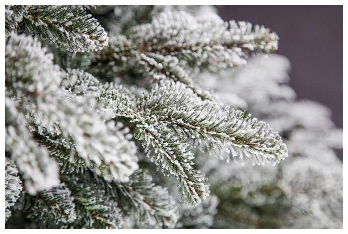 Ель искусственная Black Box Стильная Заснеженная фотография 3