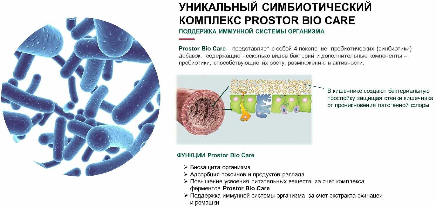 Корм для собак Наш Рацион мясное ассорти фотография 2