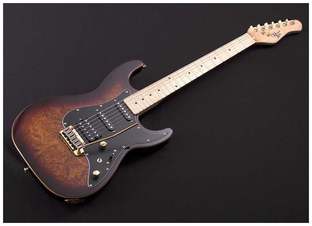 Электрогитара Michael Kelly Custom Collection 60 BB, цвет Burl Burst MK60CBBMRH фотография 1