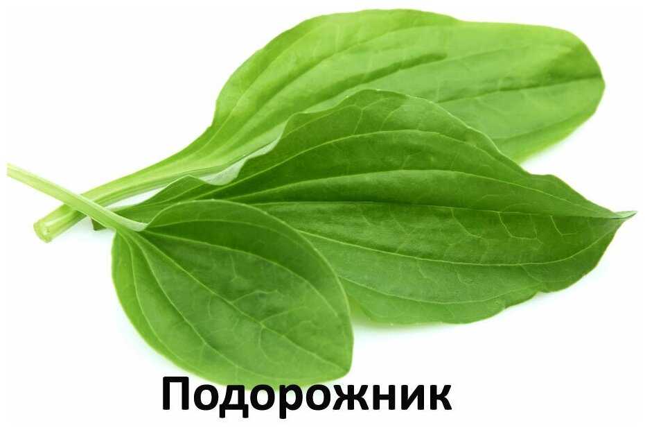 Корм для собак Farmina N&D Pumpkin (курица, с тыквой, с гранатом) фотография 12
