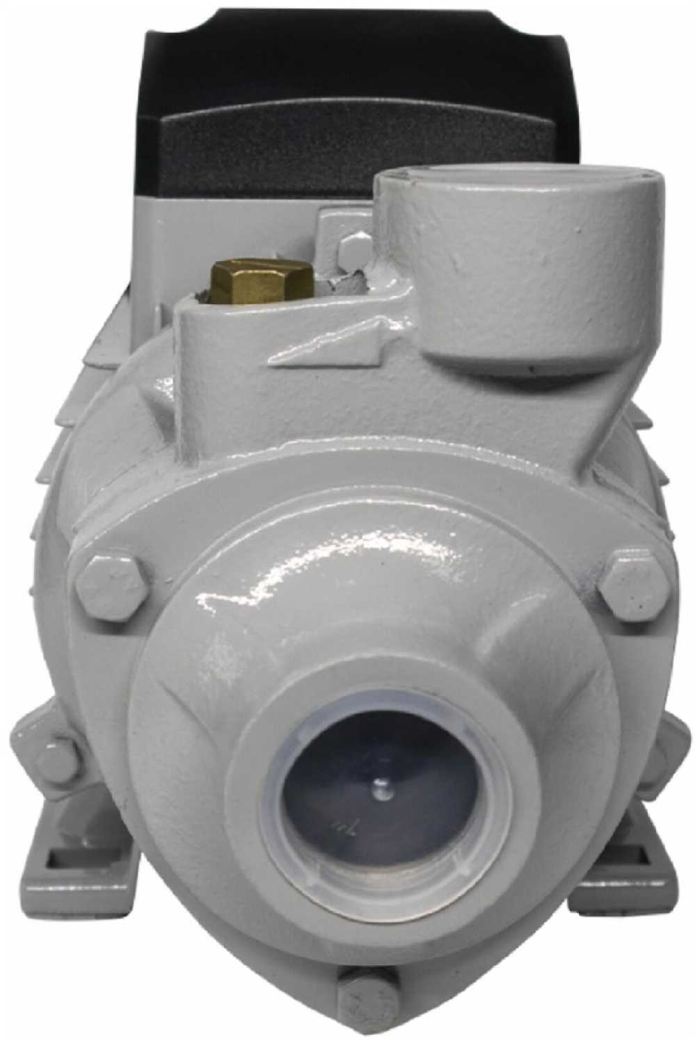 Поверхностный насос Ресанта ПСН-3300Ч фотография 16