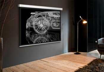 Рулонный cactus Motoscreen (CS-PSM-150x150) фотография 4