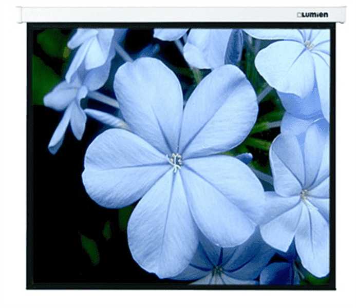 Рулонный Lumien Master Picture (LMP-100129) фотография 6