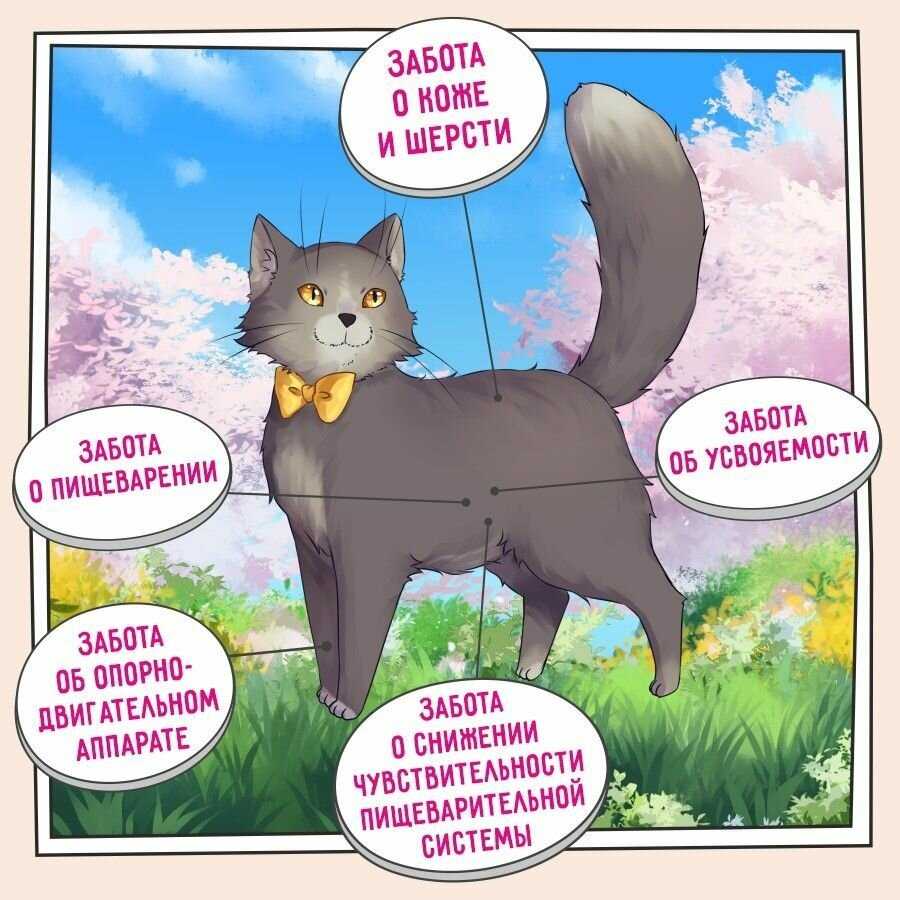 Корм для кошек Sensitive Digestion Cat индейка фотография 1
