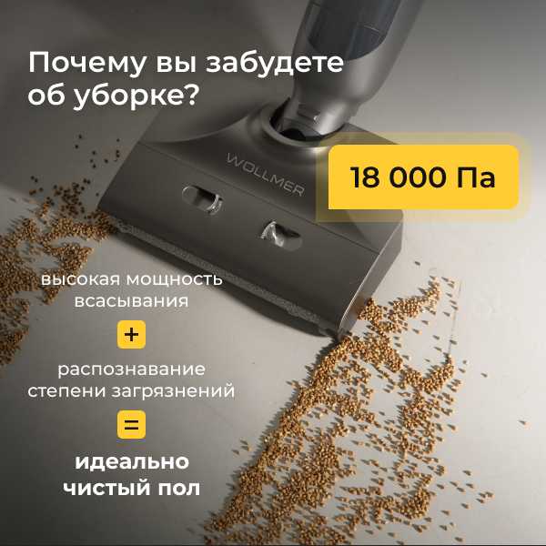Пылесос Wollmer Asteroid D800 фотография 2