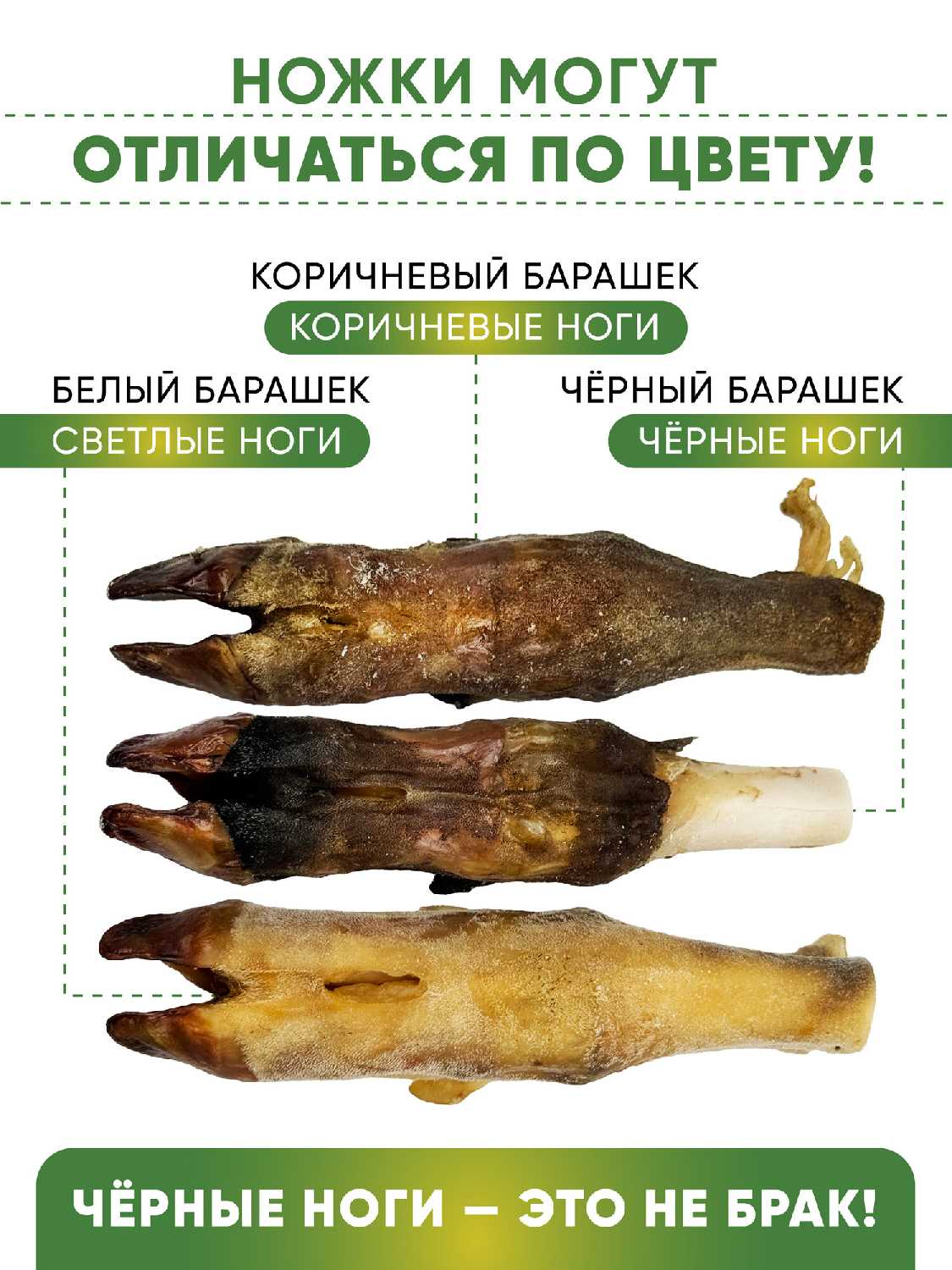 Кости для собак Баранья ножка фотография 2