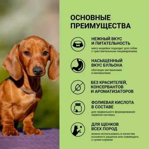 Влажный корм Grandin Adult Влажный корм для взрослых собак с курицей и льняным маслом (400 гр) фотография 3
