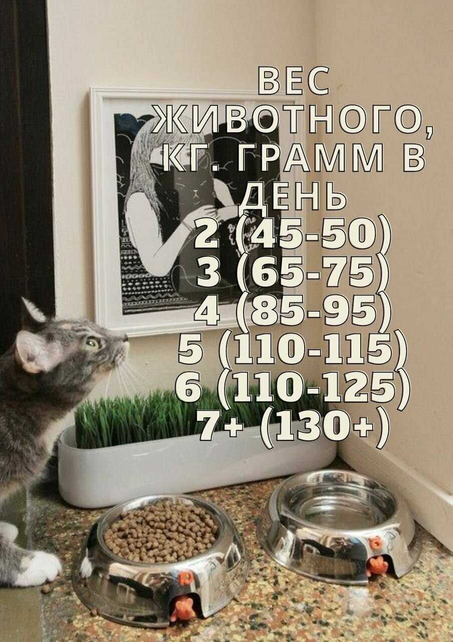 Корм для кошек Sirius Мясной рацион фотография 10