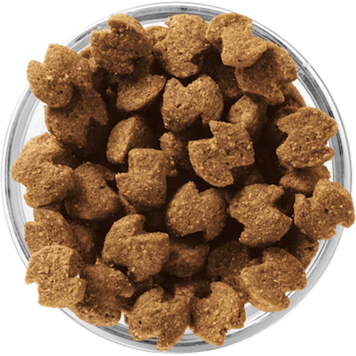 Корм для собак Eukanuba для ухода за ротовой полостью, здоровья кожи и шерсти фотография 4